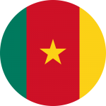 Diaspoassur Cameroun